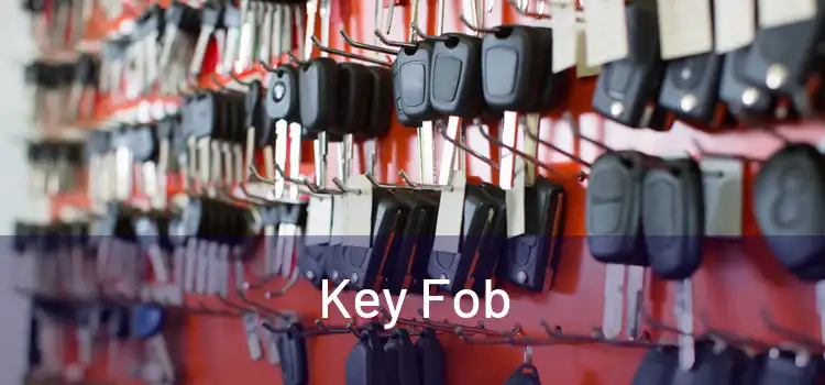  Key Fob 